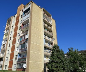 Stunte, Požega