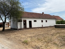 Najnovija nekrentnina