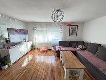 Najnovija nekrentnina